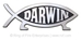 5" Darwin Fish Car Emblem (pack of 10) - 2110-PQ
